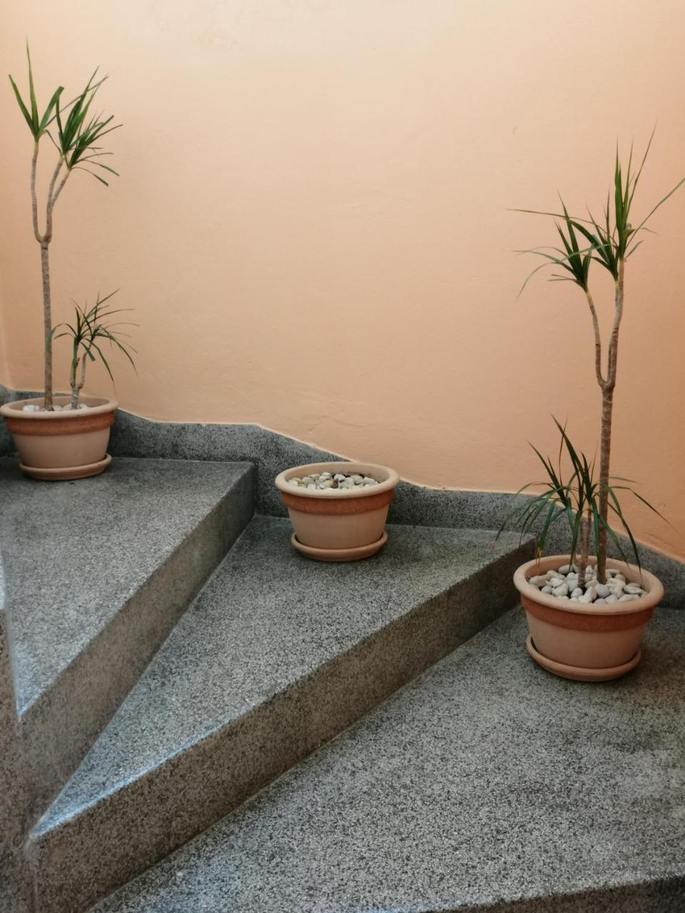 Apartment Singa Zadar Exterior photo